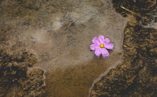 “I don’t know how to ocean”